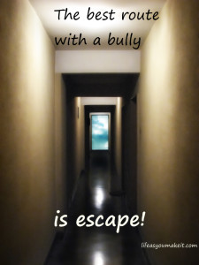 The best route with a bully is escape!